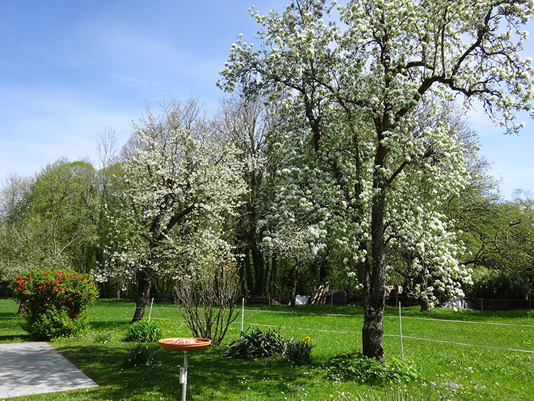 Terrasse FeWo Staufen