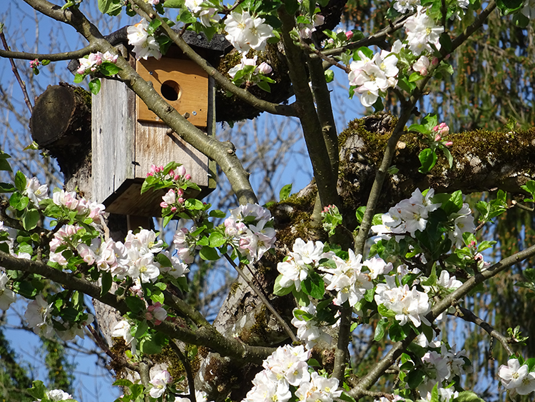 Terrasse FeWo Staufen
