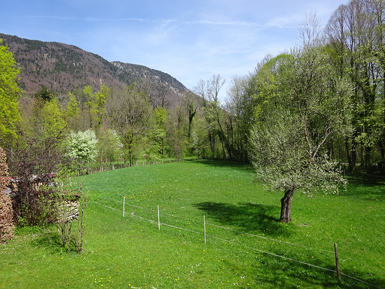 Terrasse FeWo Staufen