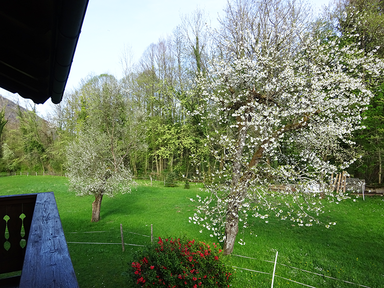 Terrasse FeWo Staufen